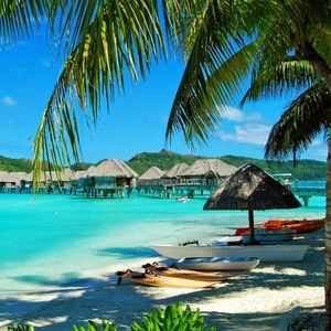 Meet your Posher, Lynette